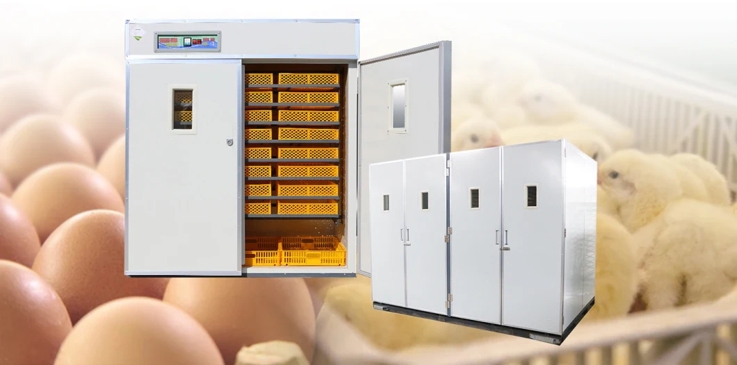 Poultry farm raising chickens automatic egg incubator for 5000 eggs