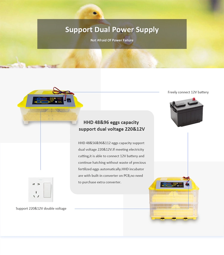 DC 12V Full Automatic Small 96 Chicken Eggs Incubator Quail Duck for Sale