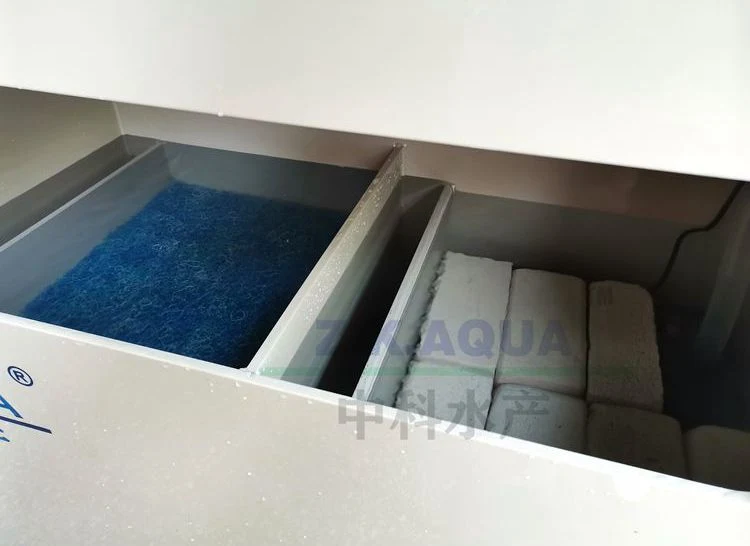 Fish Egg Hatching System Fish Hatchery Fish Incubation Jars Fish Incubator