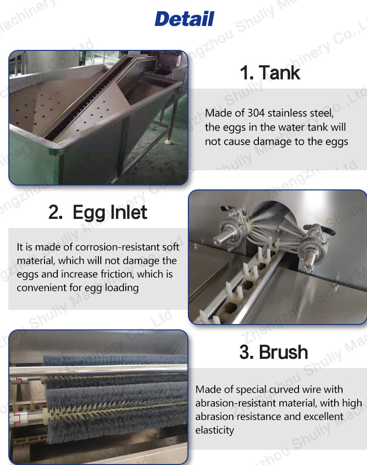 Industrial Chicken Egg Washing Cleaning Machine Sorting Production Line