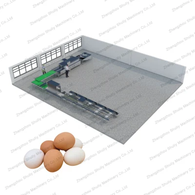 Industrieller Fabrikpreis 10000PCS Automatische Eierwasch-, Reinigungs-, Trocknungs- und Sortiermaschine