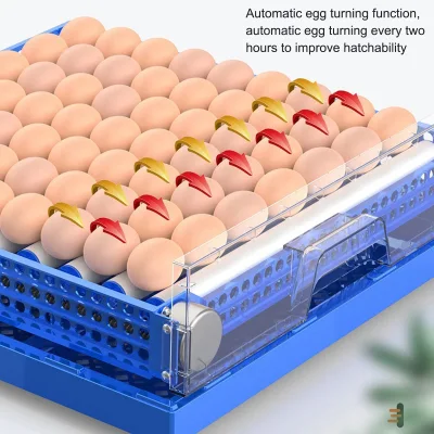 Vollautomatische Mini-Brutmaschine für Geflügel, Hühner, Enten und Tauben, Wachteleier-Inqubator, 256 Eier-Inkubator