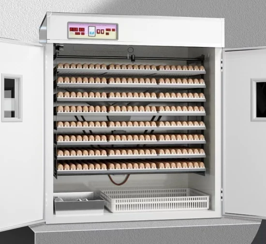 Geflügelausrüstung Mini-Inkubator für kleine Eier, Inkubator mit kleiner Kapazität